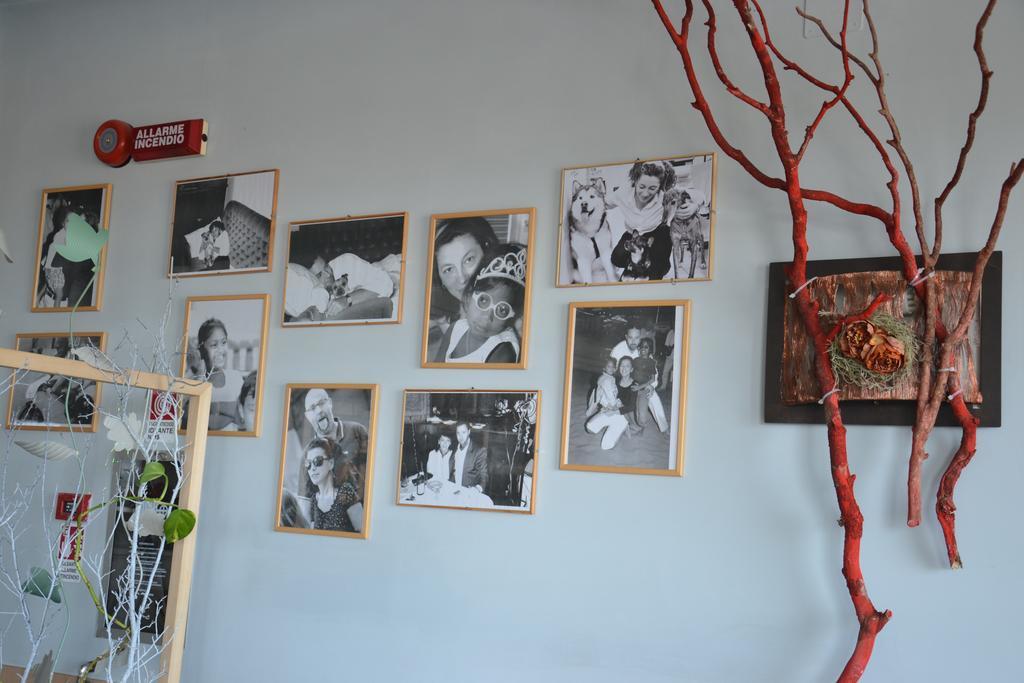 Hotel Corallo Rimini Dış mekan fotoğraf